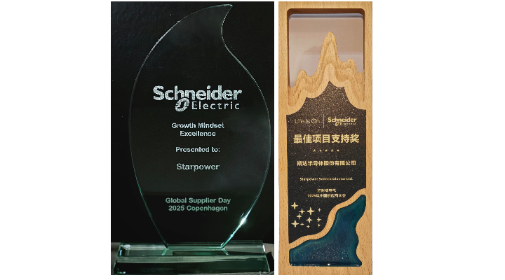 斯達半導體獲施耐德電氣兩項大獎  國際化戰略賦能全球客戶